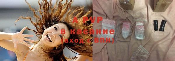 стаф Кинешма