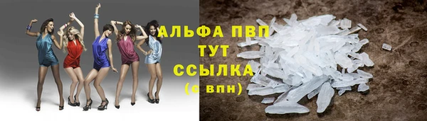 ешки Аркадак