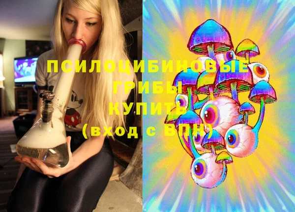 мяу мяу мука Арсеньев