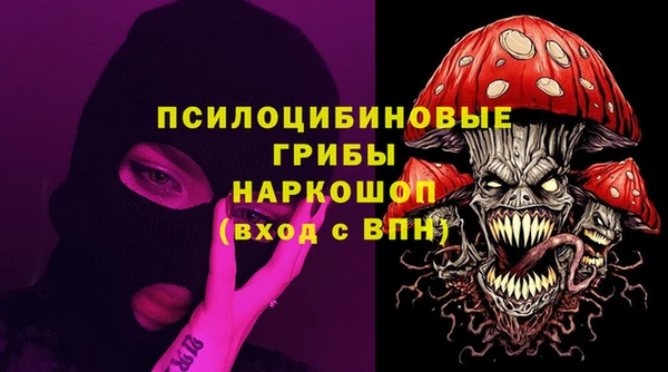 ешки Аркадак